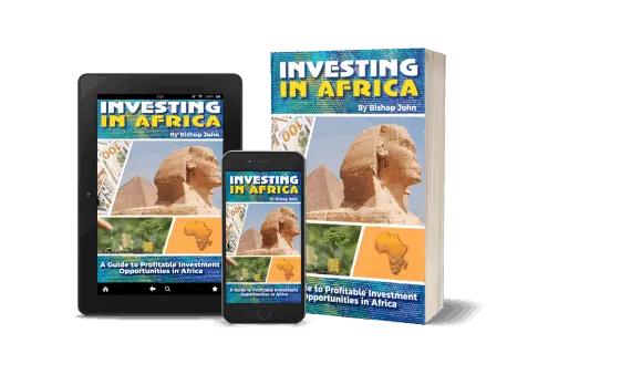 Investing in Afrika book mockup